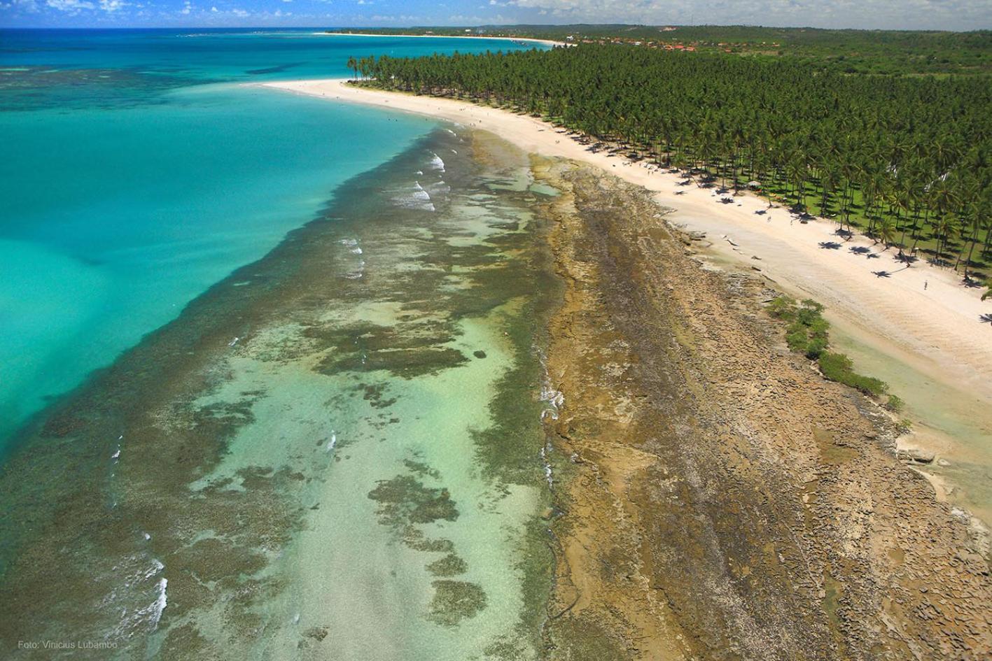 Carneiros Beach Resort Прая-дос-Карнейрос Экстерьер фото